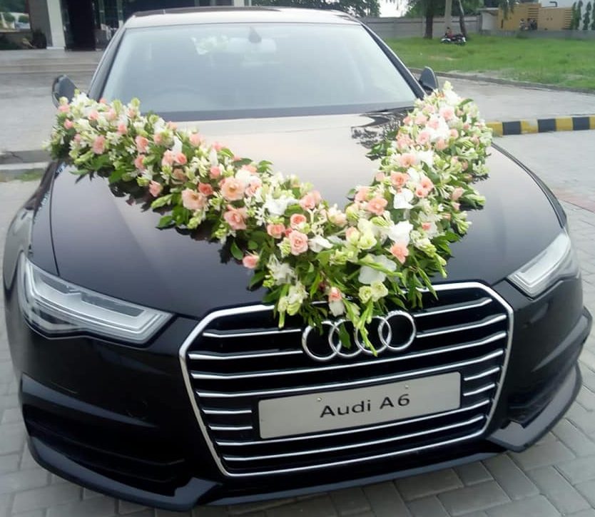 80471594 1049065178761629 3098810305539473408 n 1 e1738256651160